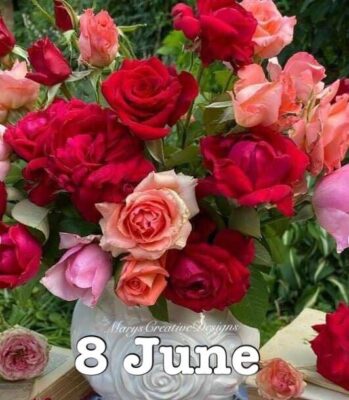 285007032_3216232325281229_3523165566543810582_n (2)