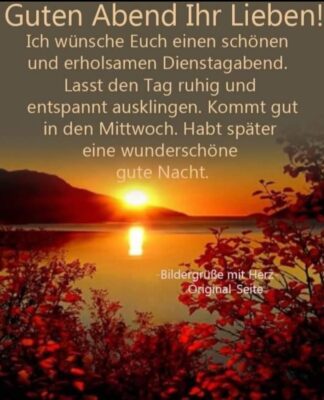 347290928_1629716747454945_2625138760157499174_n (1)