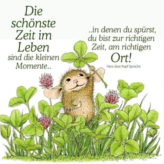 560433734_3235170799972330_7869189465750869275_n