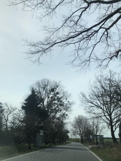 28. März.jpeg 2 (2)