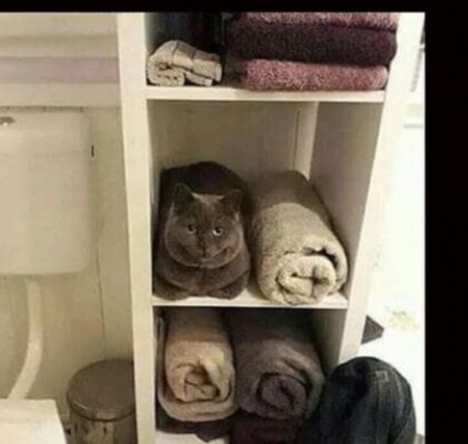 Screenshot_20250901_220523_Gallery