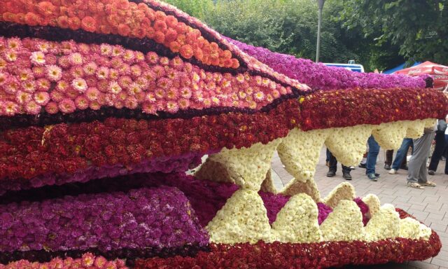 IMG_20170827_155506944