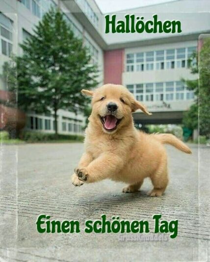 2768a6ad4c7f26a2dc638ea736c813ad