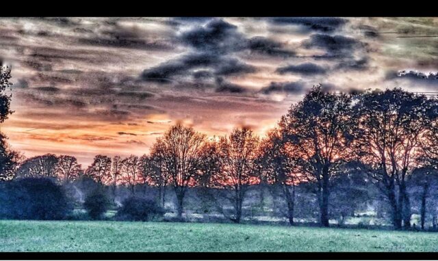 Screenshot_20251112_094842_Photos