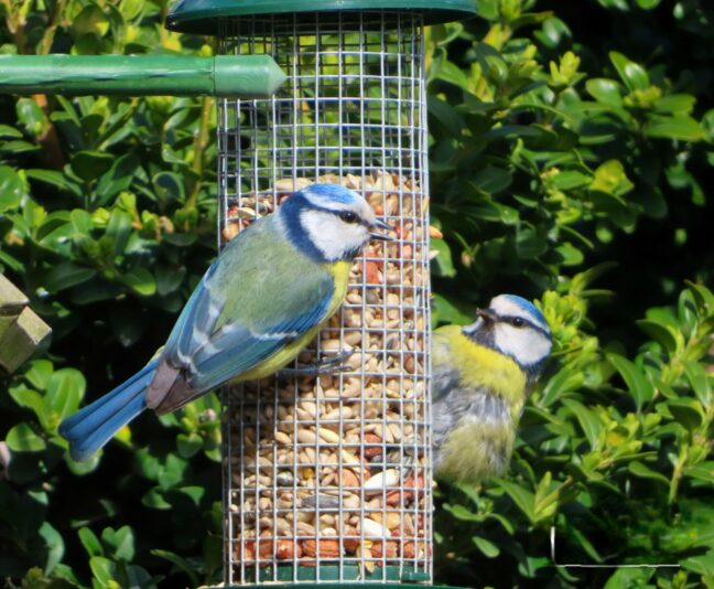 20230402135358_IMG_6597