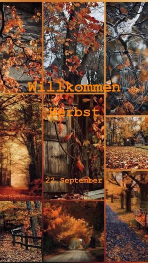 IMG_5221.JPG Willkommen Herbst