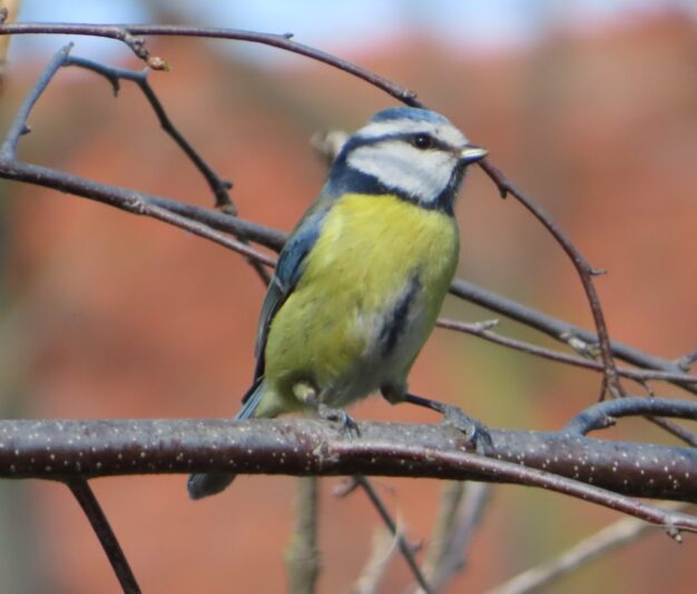 20230411142749_IMG_6976