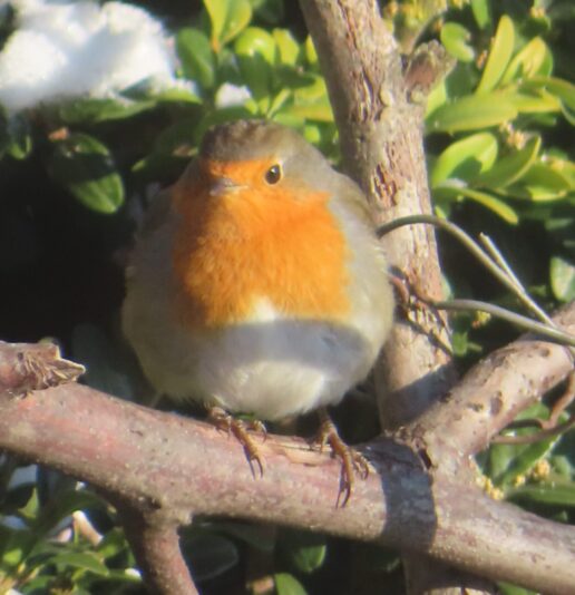 20240109123601_IMG_6184