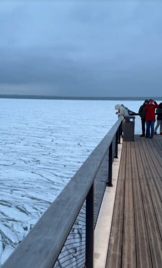 Screenshot_20260208_214623_WhatsApp