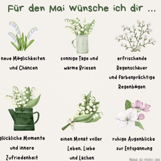 439213411_852943766876307_7910743073972824345_n