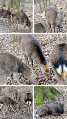 20250207_164721-COLLAGE