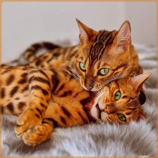 IMG_9621.JPG Herbst 3