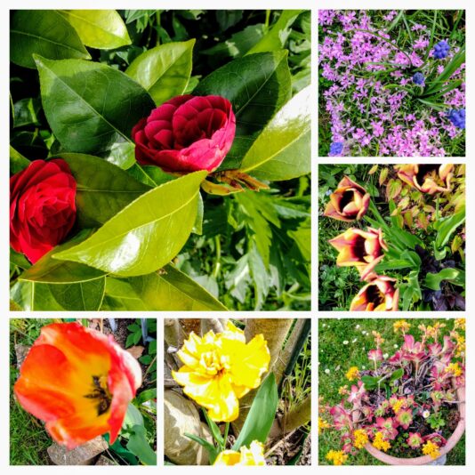 20250419_223420-COLLAGE