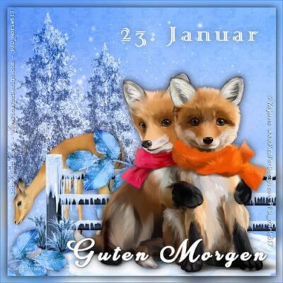 IMG_2923.JPG 23.Januar