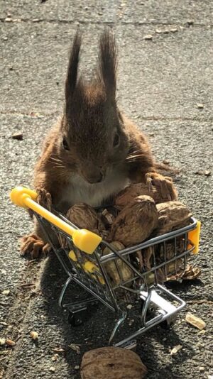 249025340_10219333610842725_82816300066096703_n (1)