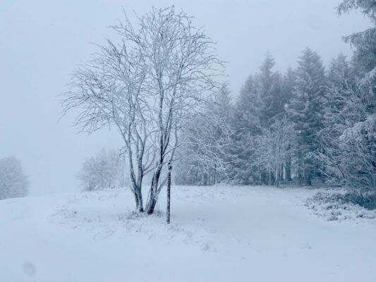 262445868_2468037113326213_1281998482138000654_n