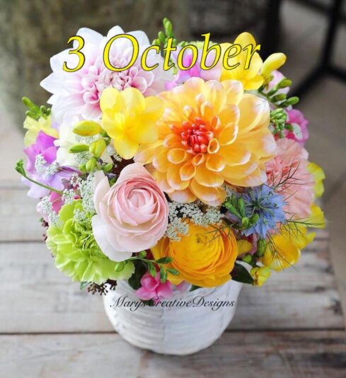 240050404_3017256328512164_4743392805373104706_n