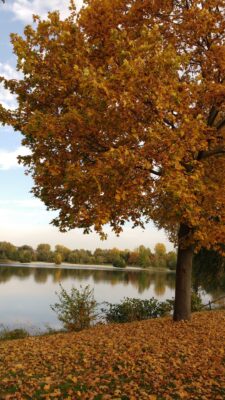 IMG_20201022_155908915