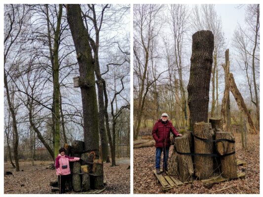 20250207_165256-COLLAGE