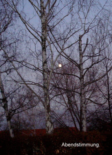 Abendstimmung.
