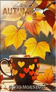 EA8B9105-F752-4735-9885-6F9D705D47A7