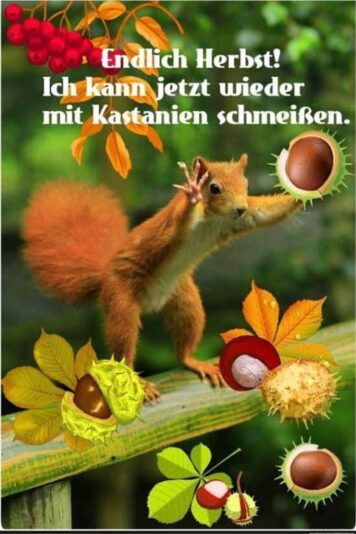 554976205_1865823887704267_962795181602705145_n