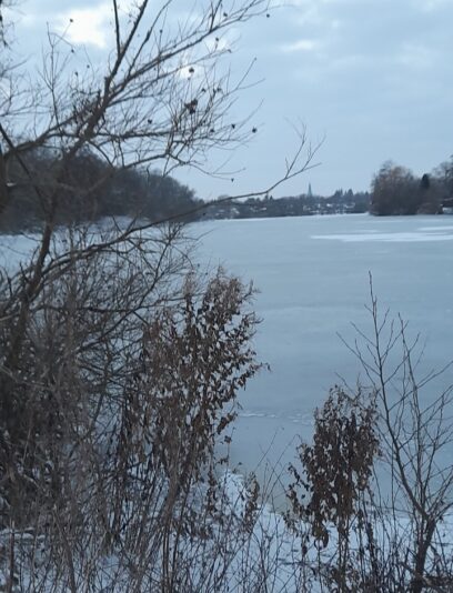 Screenshot_20260205_222644_Gallery