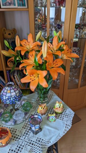 PXL_20230531_134831863