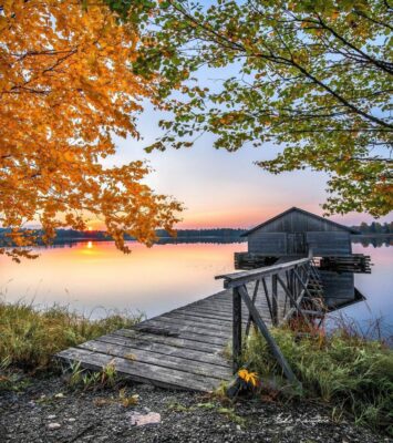 241495592_373086091057638_1644590898949337564_n