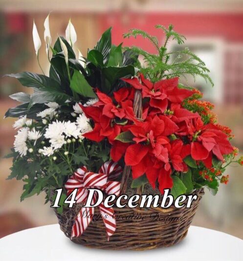 265471467_3075136902724106_2721332601379441259_n (2)