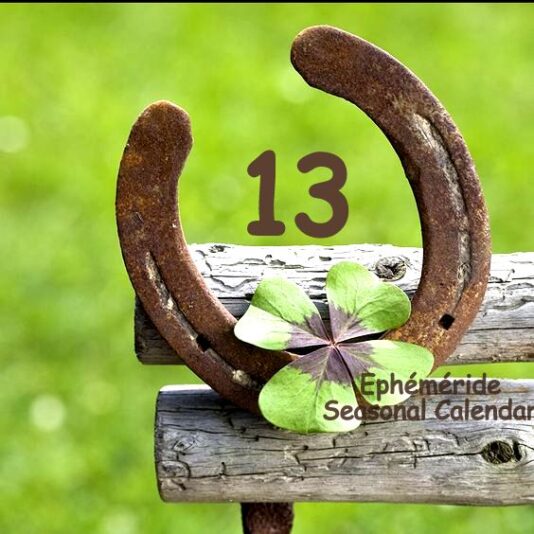 236384386_4494422437274484_4550582084086636941_n