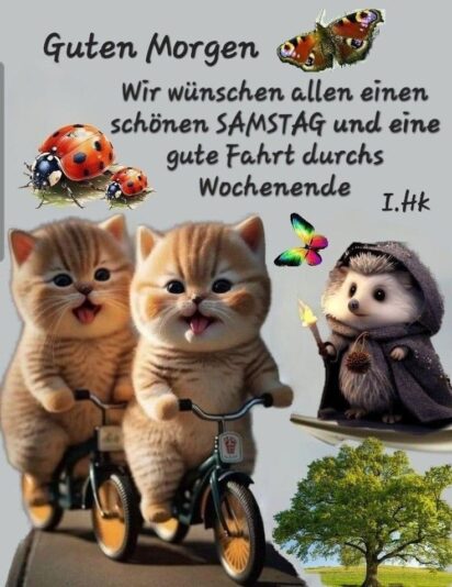 IMG_6035.JPG Guten Morgen Wochenende