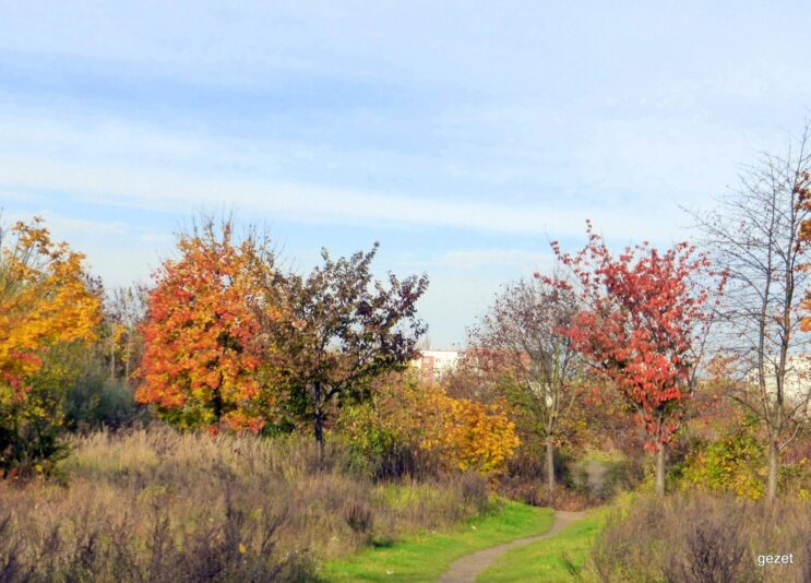 120483110_10223700777326370_1411776769359899384_o.jpg Herbst