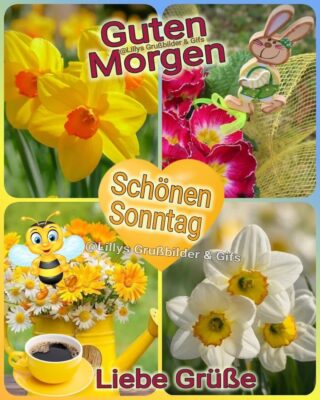 431443497_2106290313062653_4156561086693688259_n