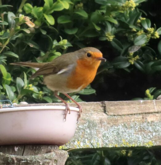 20240304110634_IMG_9038