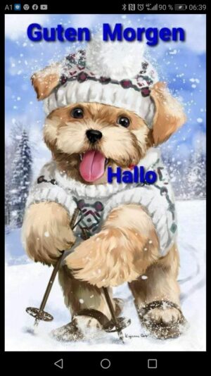 139081927_254137176110797_3955653651454405207_o