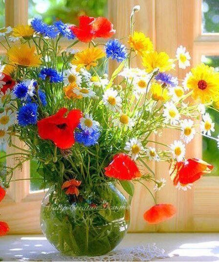 276219484_3151213821783080_2957626051072233573_n