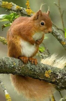 120391177_1006663359799019_5076800778209421529_n-1