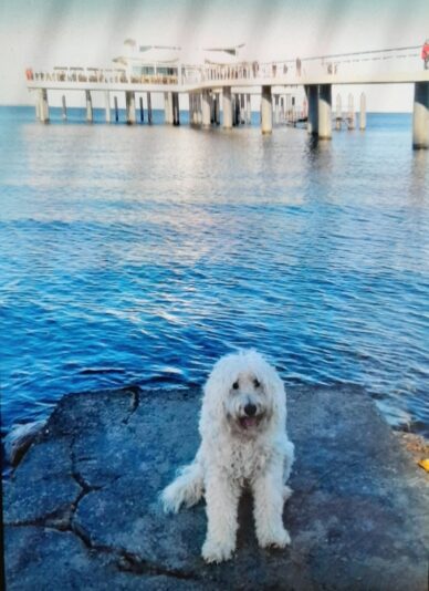 Screenshot_20251019_220542_Gallery