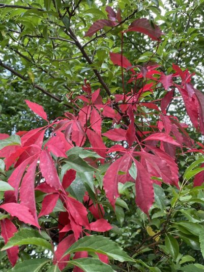 E3EFA837-7467-4680-9F20-7A6641EFEEE1