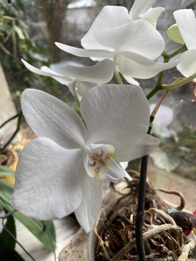 307BDAEE-C35C-45C5-A18F-A82A6E6BA5F3