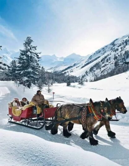 128555077_1297772457257158_6670513817068750830_n