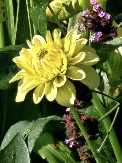 560849935_1448398556458688_2538322010662537244_n