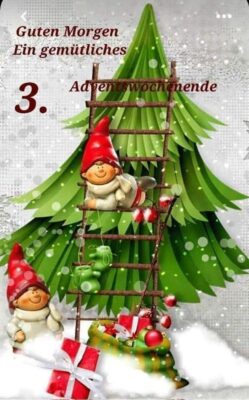 411495827_876103924223455_8265389474728664588_n