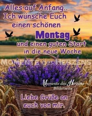 FB_IMG_1757923433860