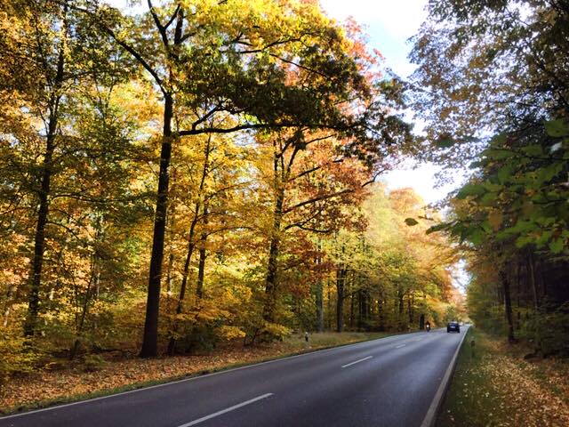 14910544_974100916035123_6630912945050768810_n