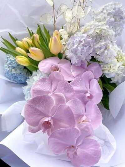 439839679_950188023777399_6997398094879431337_n