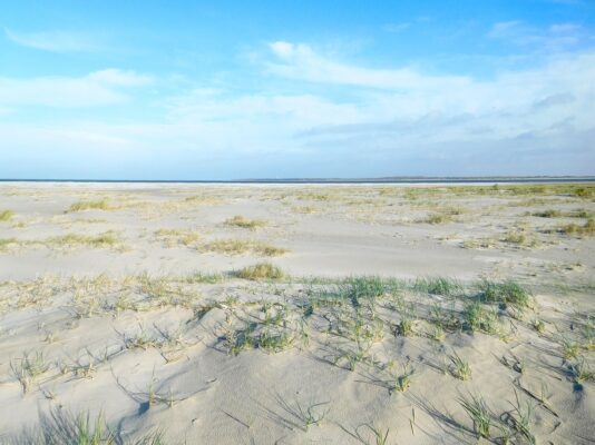 C7D02894-E74C-4776-AB66-ECEC14C48118