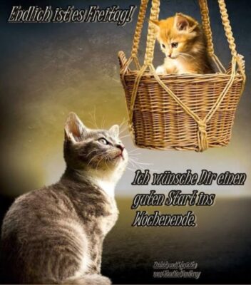 Gallery_1758815310772