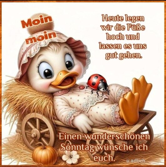 05bf01b43fa2f68d4cd2c7c3dd56d17b